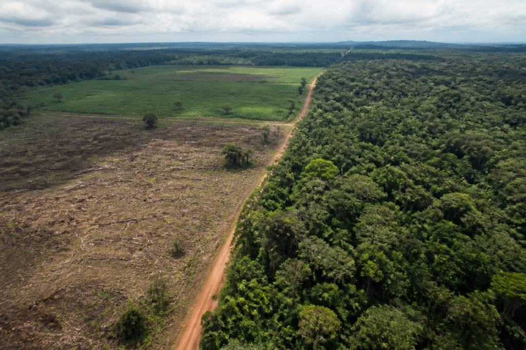 Qu'est ce que mercosur et quels impacts pour l'environnement en Europe