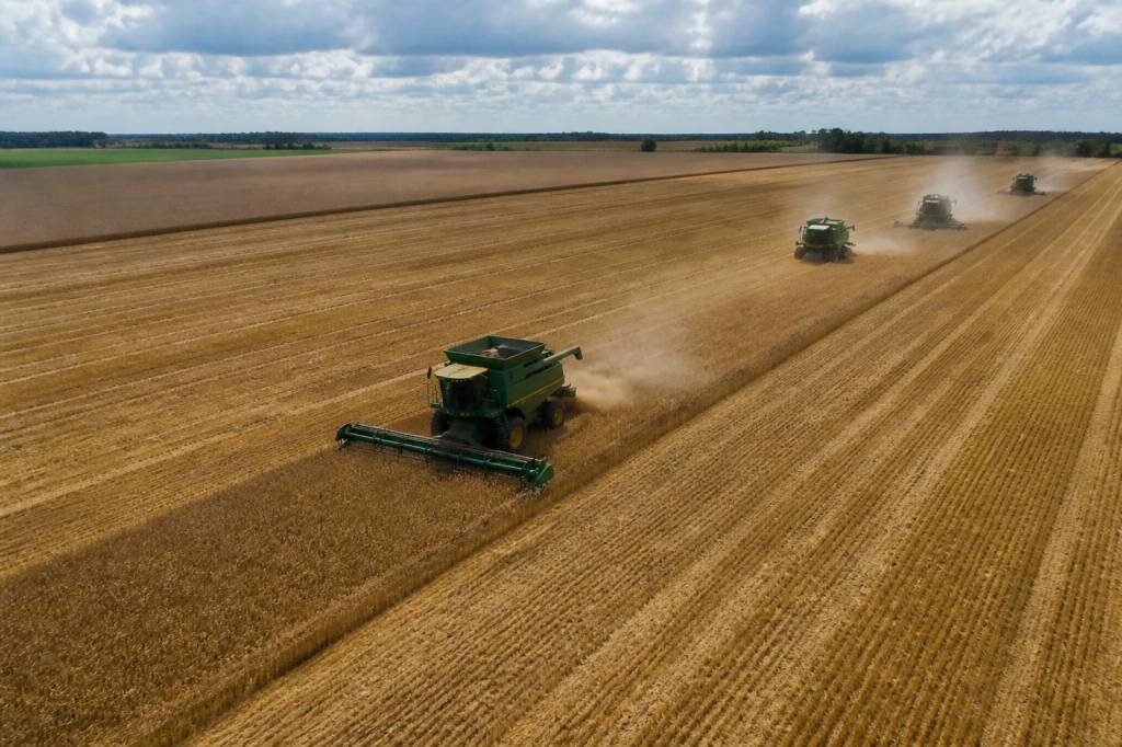 Définition agriculture intensive : pratiques, limites et impacts sur les sols